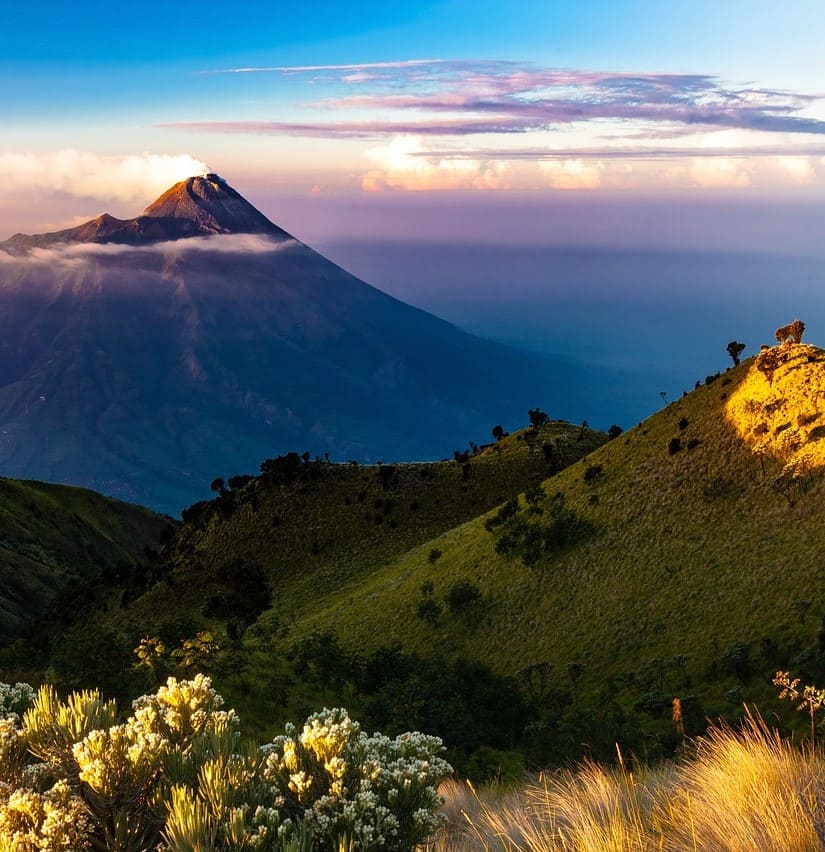 Traduzioni tecniche in indonesiano