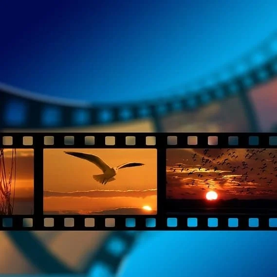 Come Aggiungere Sottotitoli a un Video