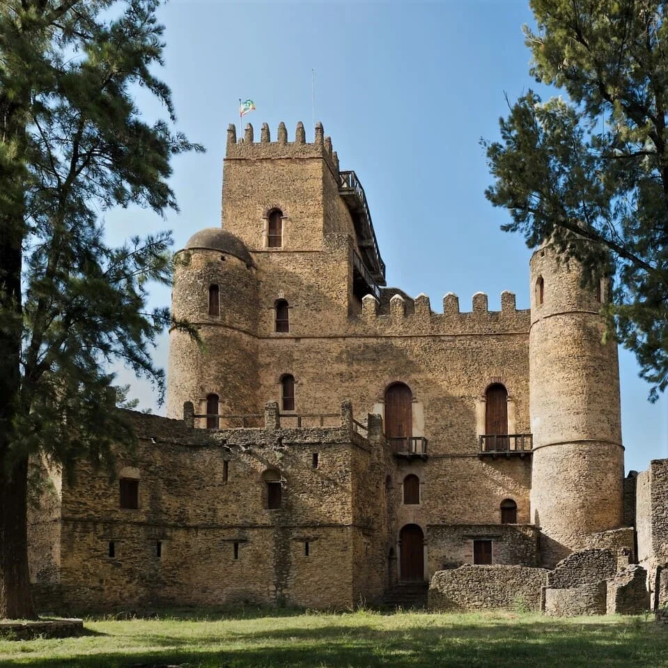 Servizi di traduzione in Amarico per diversi tipi di documenti: