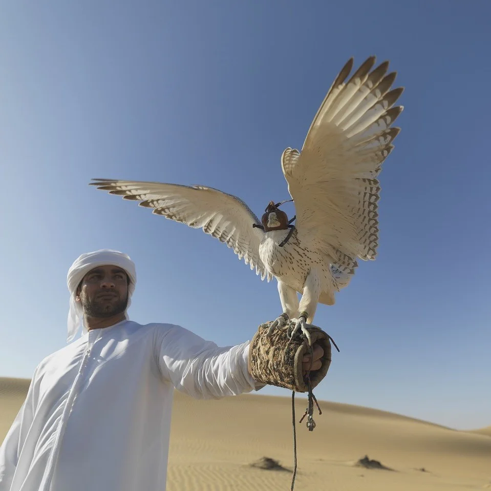 Servizi di sottotitolaggio in arabo