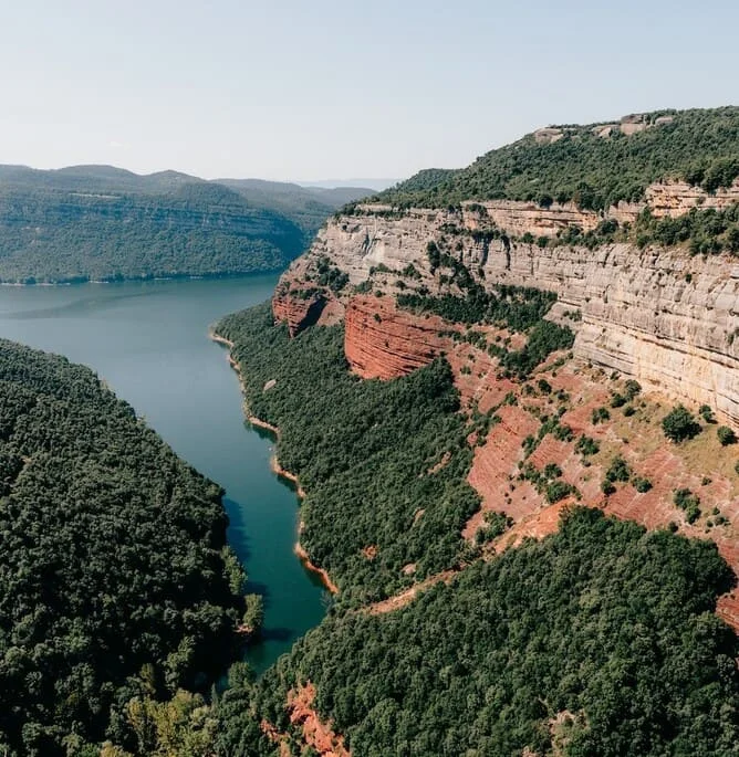 Servizi di traduzione legale in catalano