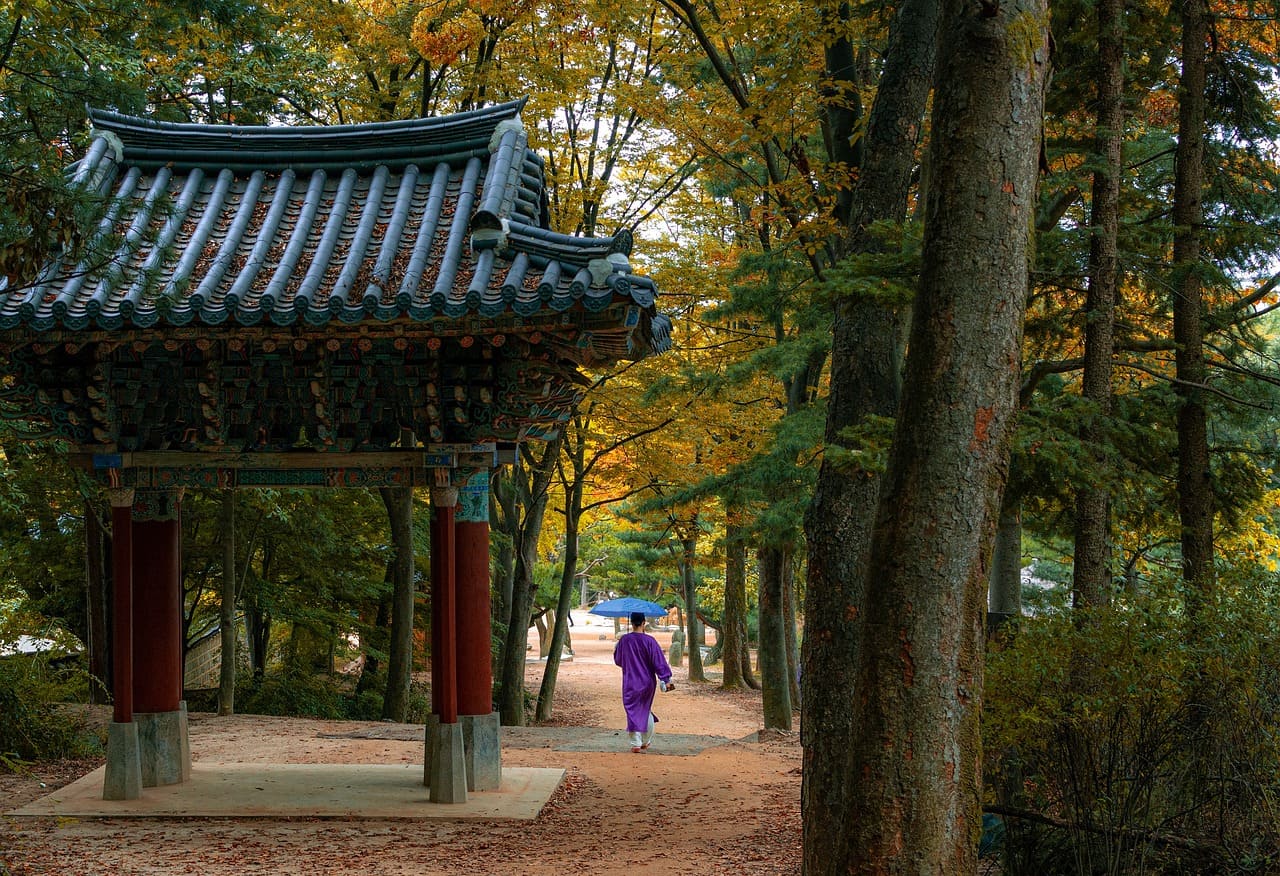 I nostri servizi di traduzione in coreano certificata
