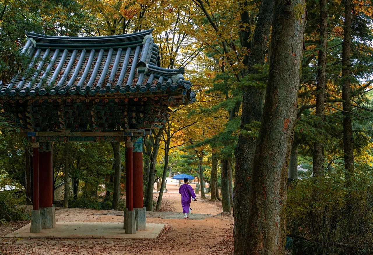 I nostri servizi di traduzione in coreano certificata