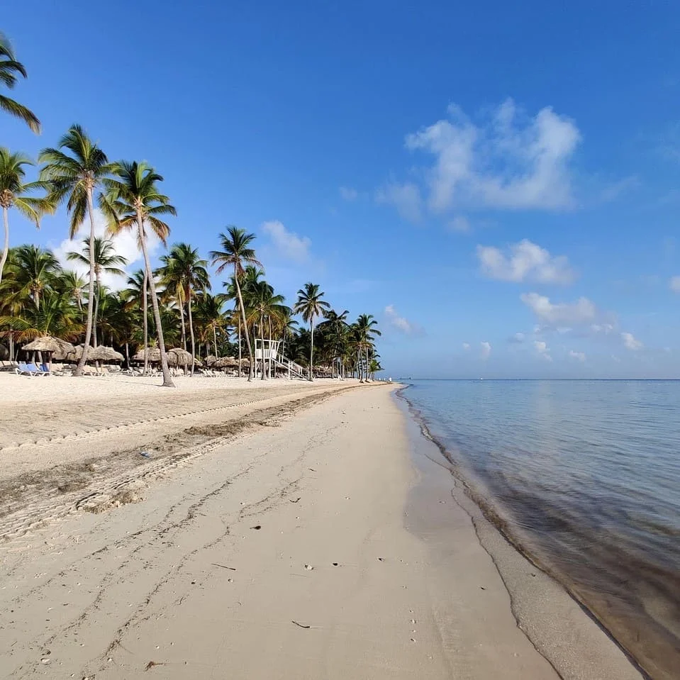 Origini della lingua creola haitiana e caratteristiche principali