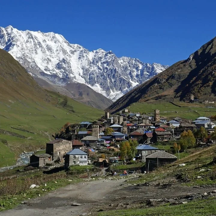 Documenti finanziari in georgiano che traduciamo: