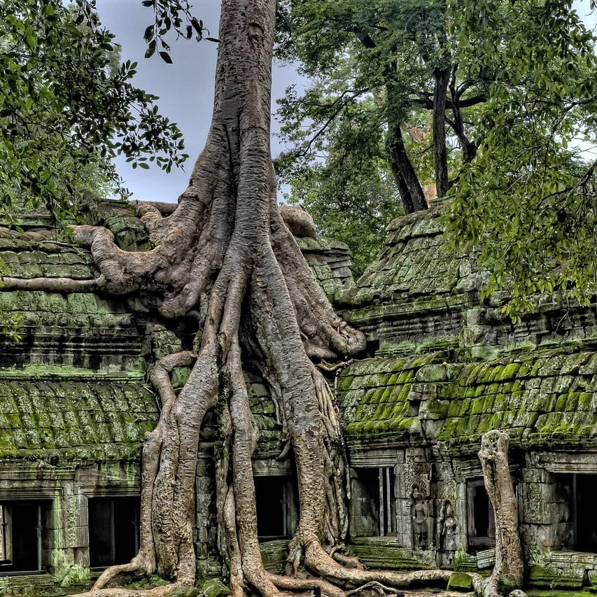 Documenti commerciali in khmer che traduciamo