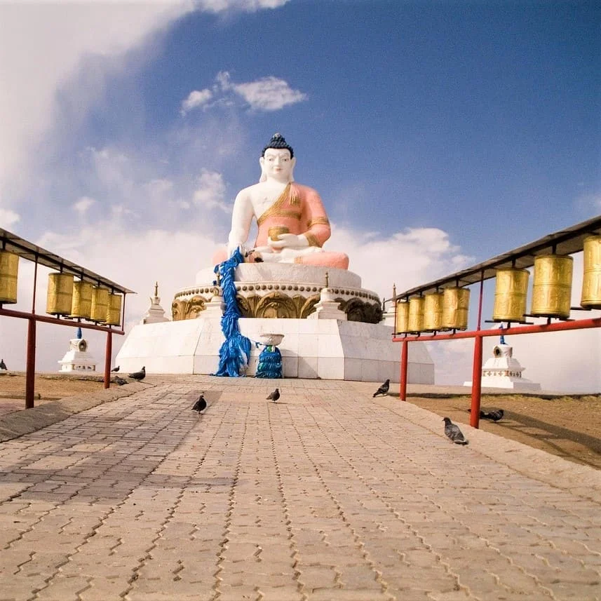 Traduzioni legali in mongolo