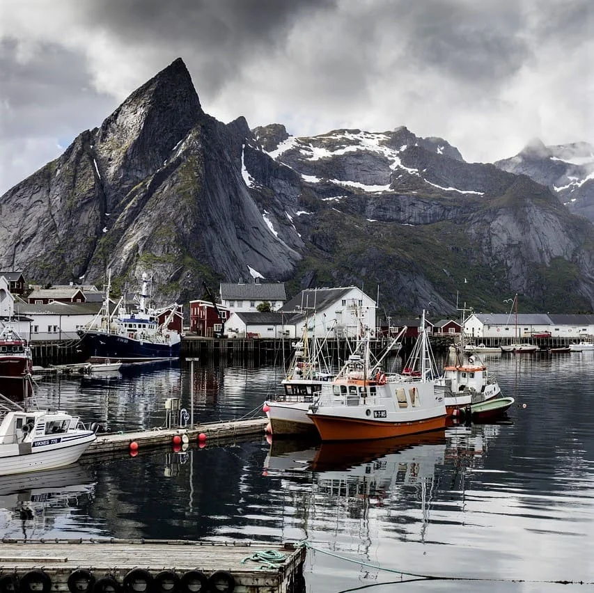 Traduzioni in norvegese con PoliLingua