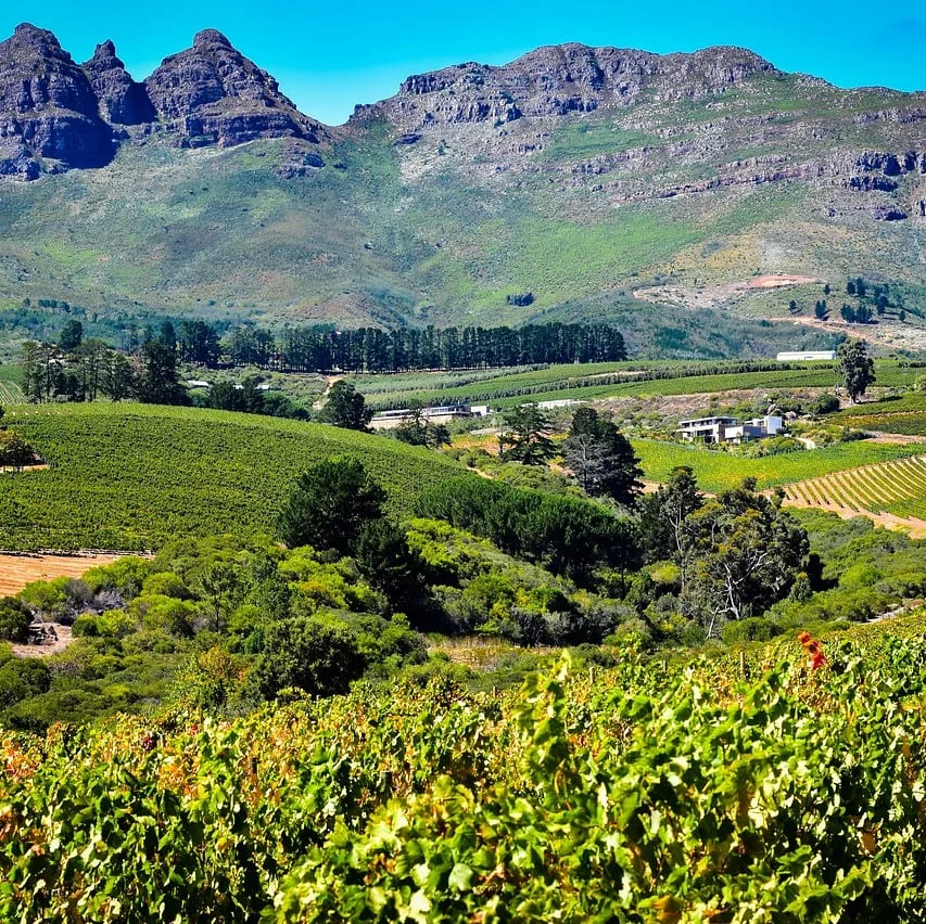 Panoramica della lingua Sesotho
