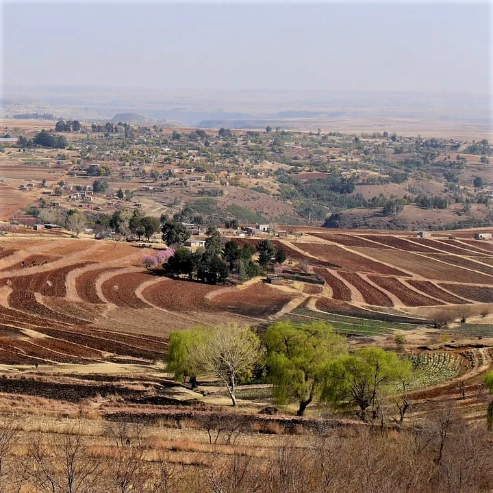 Passaggi per ottenere le nostre traduzioni professionali in Sesotho