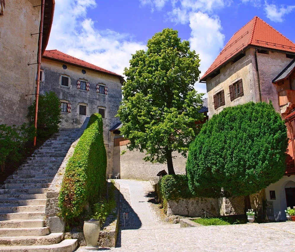 I nostri servizi di traduzione e interpretariato in sloveno
