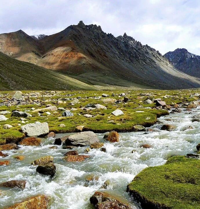 Servizi di traduzione di testi scritti in tibetano
