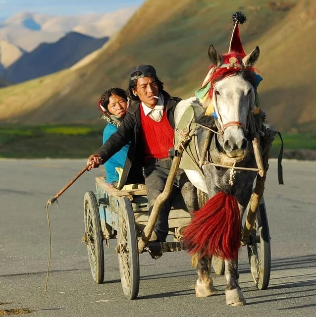 Traduzione e localizzazione di siti web in tibetano