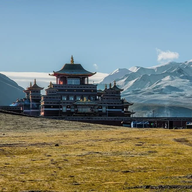 Documenti aziendali in uiguro che traduciamo: