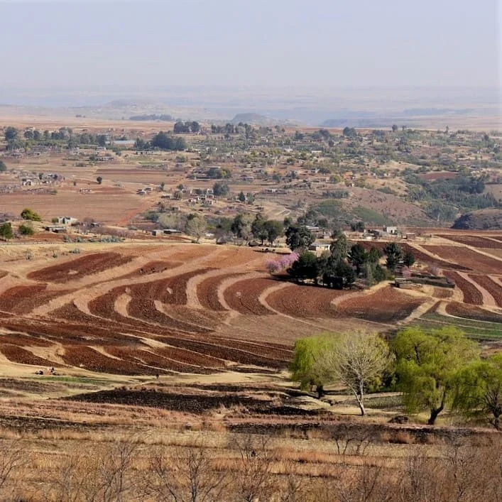Panoramica sulla lingua Zulu