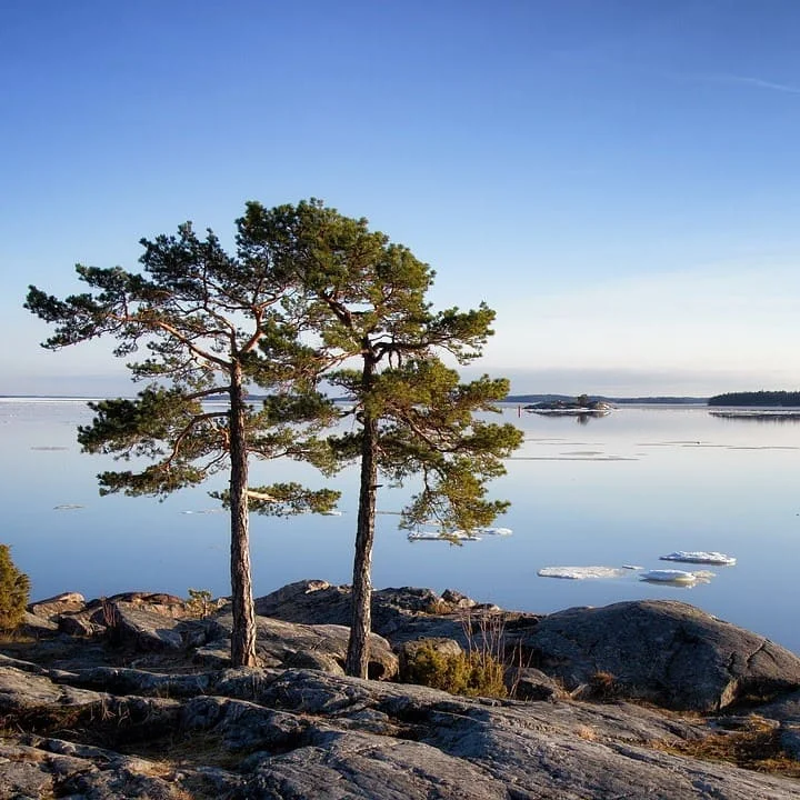 Servizi di traduzione in finlandese