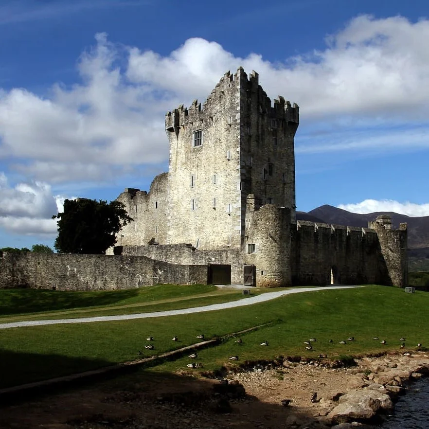 Servizi di Traduzione in Irlandese