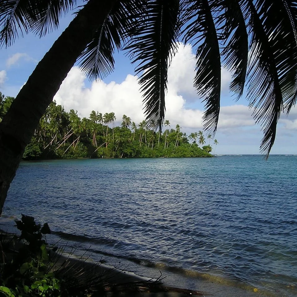 Servizi Di Traduzione Samoan