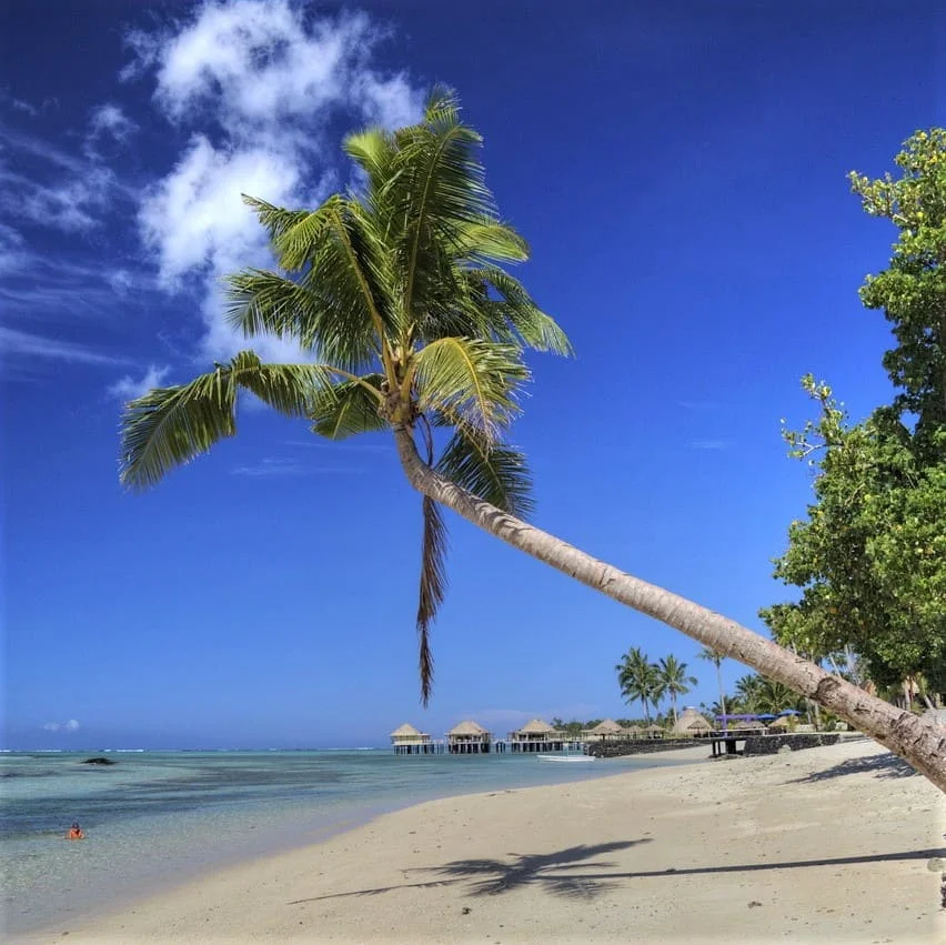 Dimensione Del Mercato Samoan