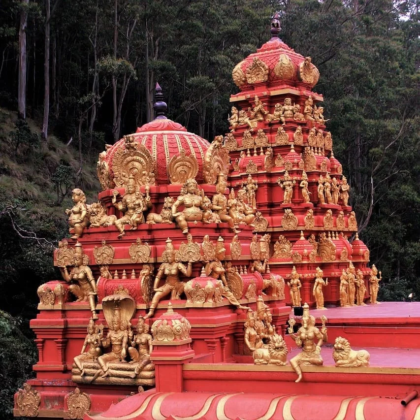 Servizi Di Traduzione Legale Tamil