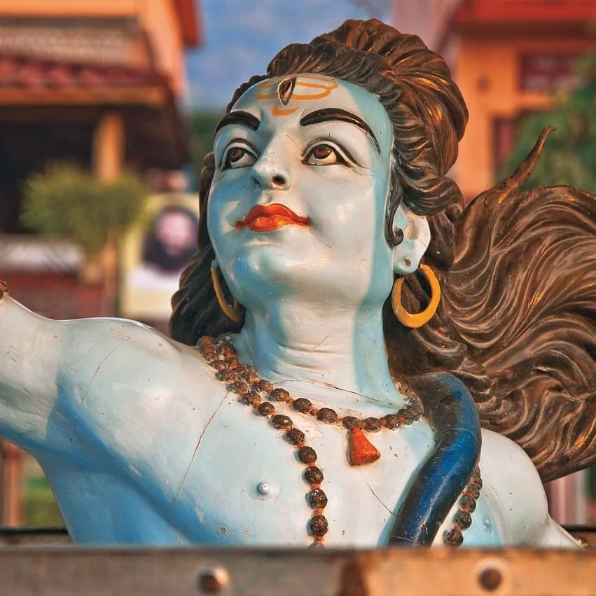 Tipologie di Traduzioni Bhojpuri Offerte