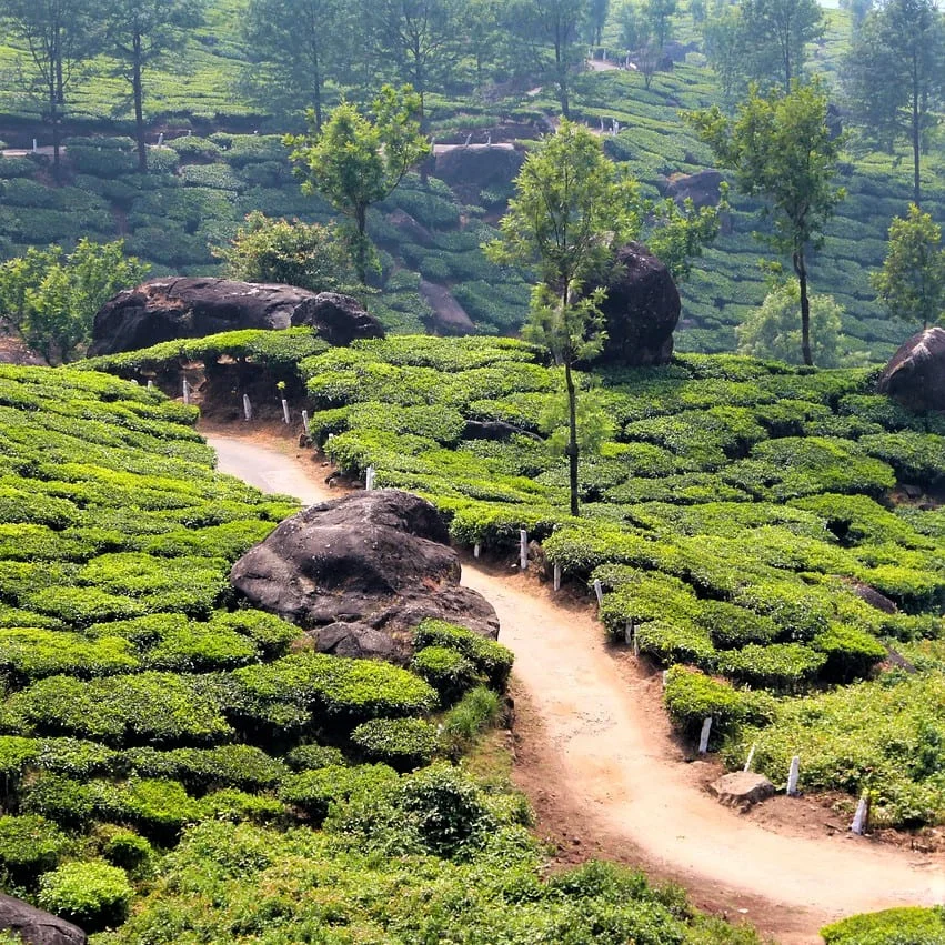 Traduzioni Legali Bhojpuri di PoliLingua