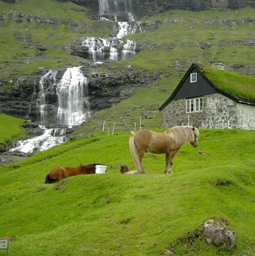Vantaggi Dei Nostri Servizi Di Traduzione Faroese