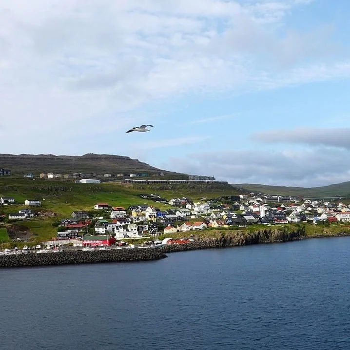 Traduzioni Faroese Per Settore