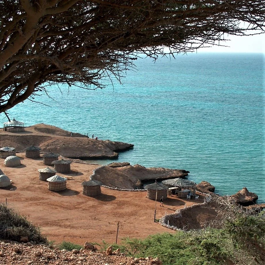 Vantaggi Della Società Di Traduzioni Somali PoliLingua