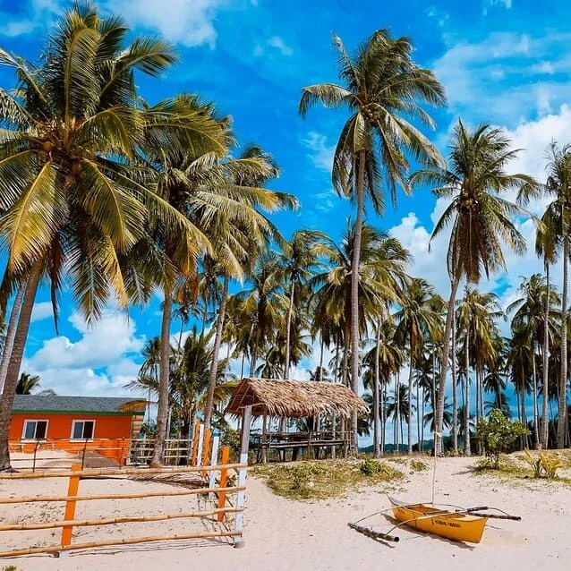 Tipologie di Traduzione Filipino Offerte