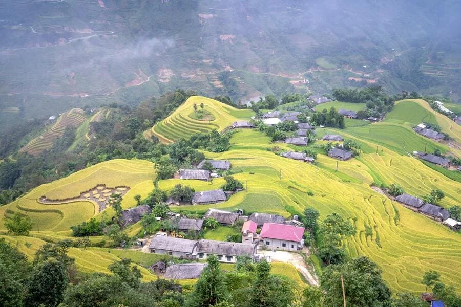 Le Nostre Traduzioni in Nepalese per Settore