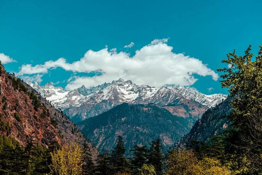 Traduzioni Aziendali in Nepalese