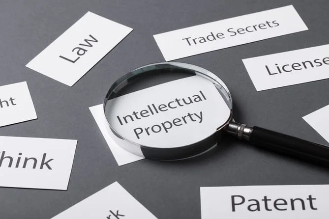 Cosa Sono i Servizi di Traduzione IP?