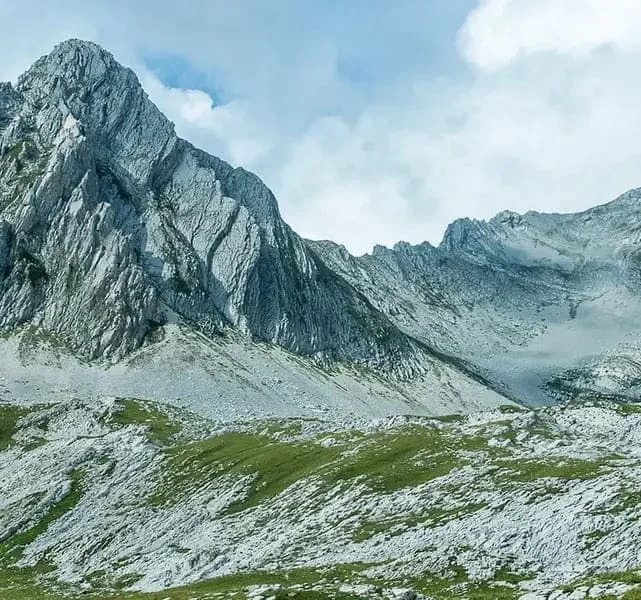 Traduzioni in Abcaso di PoliLingua
