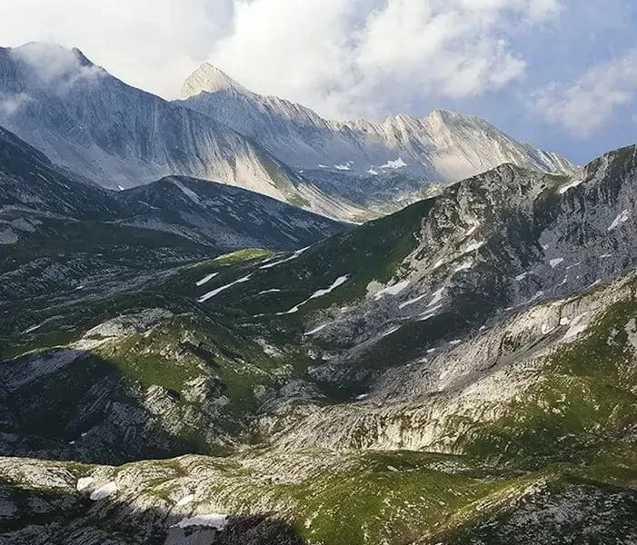 Servizi di Traduzione Legale in Abcaso