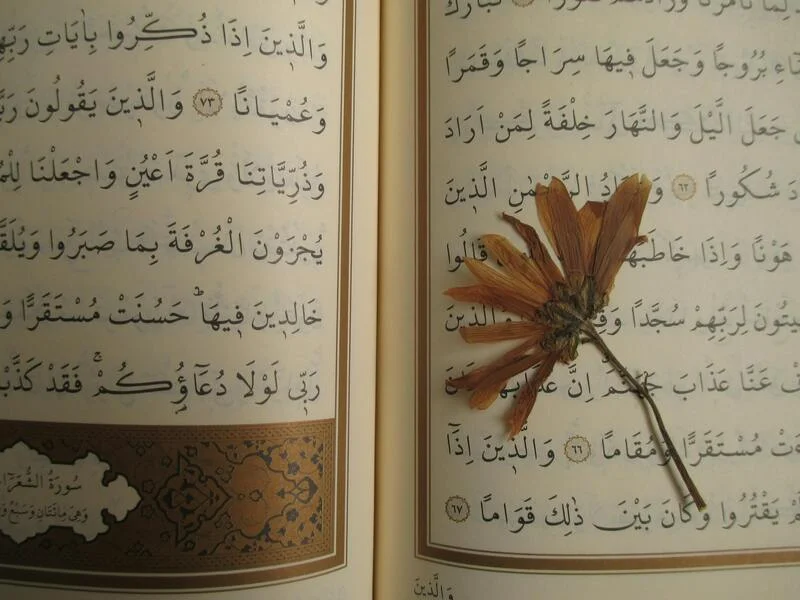 Scopri i Segreti Lingua Farsi e Traduzioni di PoliLingua Ora